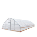 TMG Industrial 25’ x 60’ Tunnel Greenhouse Grow Tent w/6 Mil Clear EVA Plastic Film, Cold Frame, Hand Crank Roll-Up Sides, Peak Ceiling Roof, TMG-GH2560