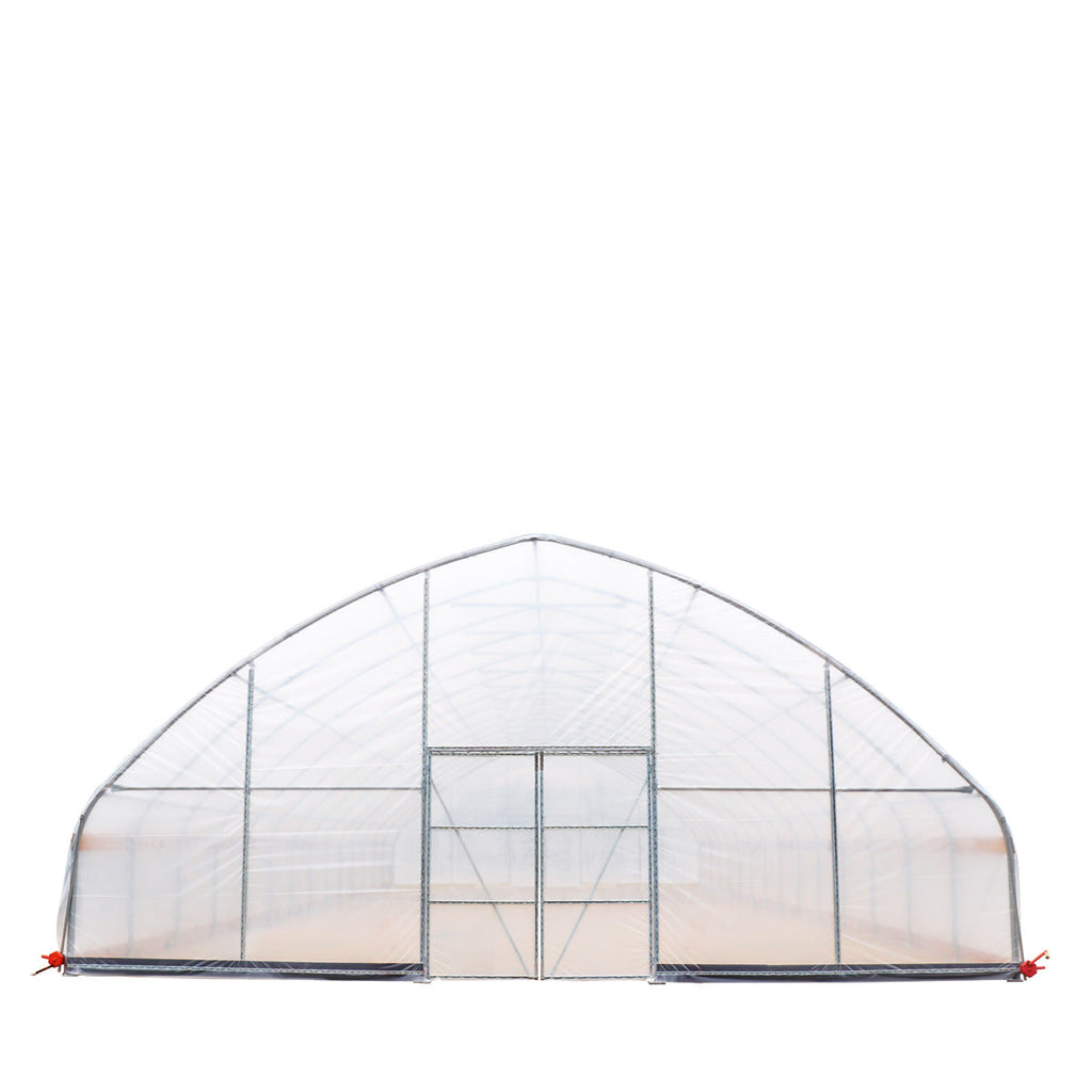TMG Industrial 30’ x 60’ Tunnel Greenhouse Grow Tent w/6 Mil Clear EVA Plastic Film, Cold Frame, Hand Crank Roll-Up Sides, Peak Ceiling Roof, TMG-GH3060