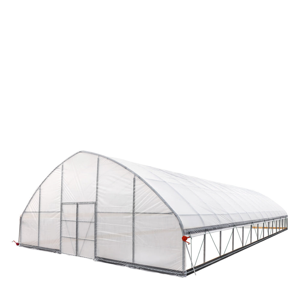 TMG Industrial 30’ x 60’ Tunnel Greenhouse Grow Tent w/6 Mil Clear EVA Plastic Film, Cold Frame, Hand Crank Roll-Up Sides, Peak Ceiling Roof, TMG-GH3060